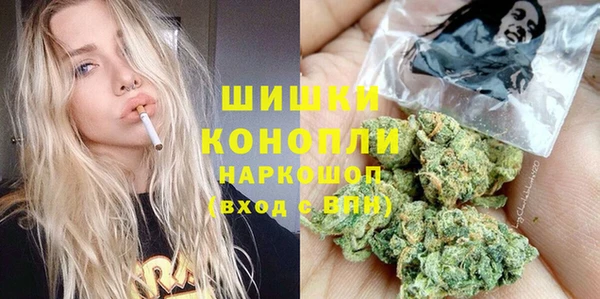 гашик Богородицк