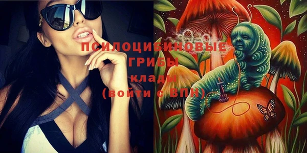 гашик Богородицк